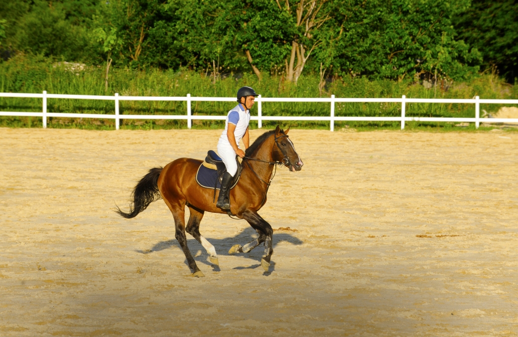 Riding on Caucasian horses