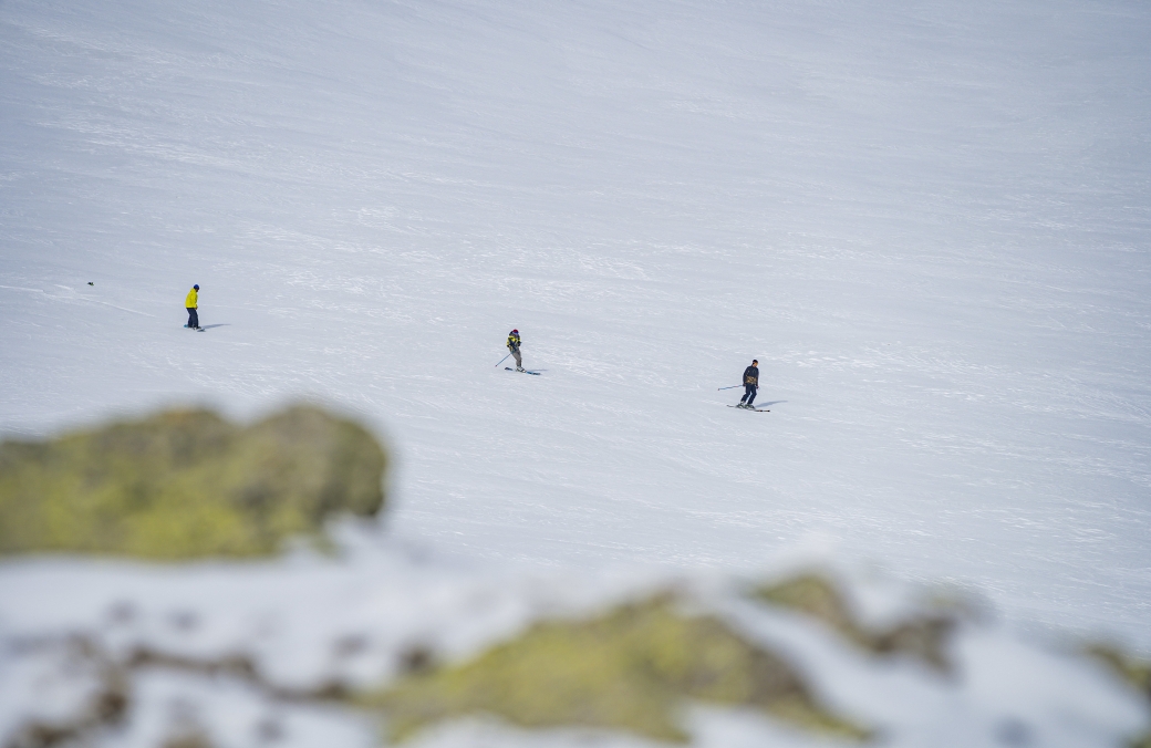 Skiing & Snowboarding