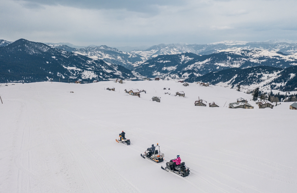 Snowmobile Tour