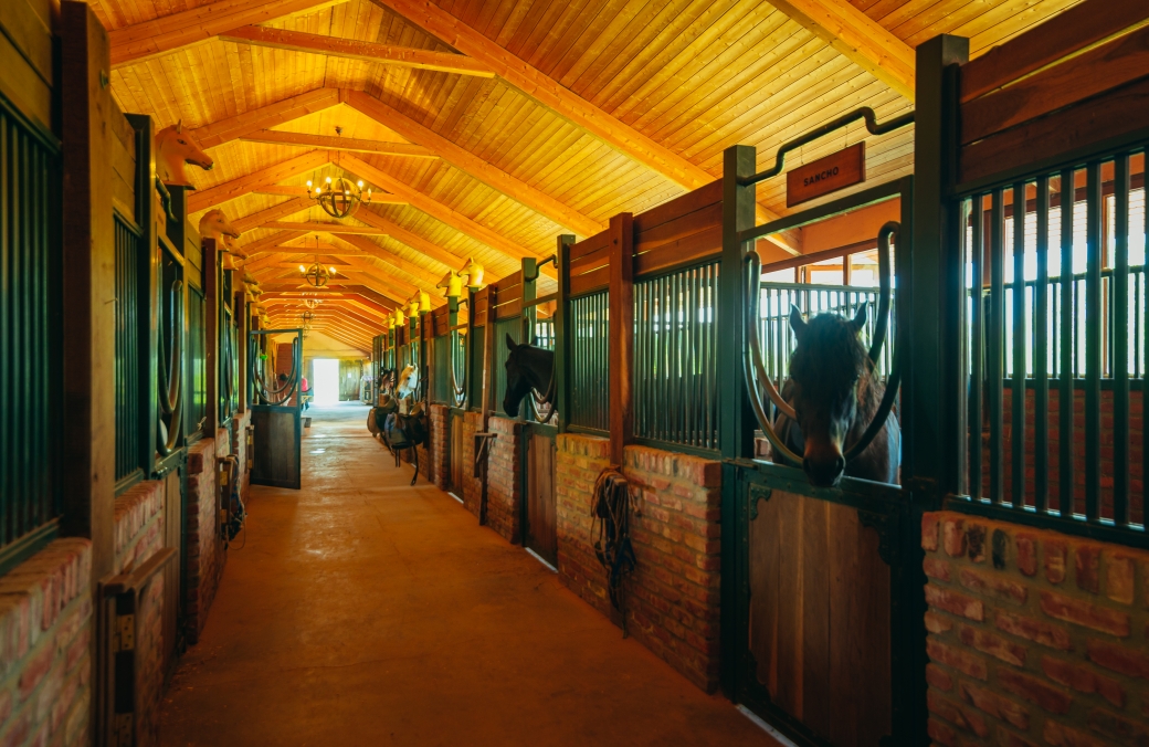 Equestrian Club