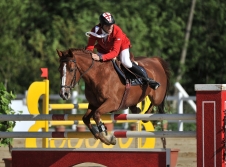 Riding on Caucasian horses