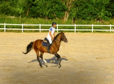 Riding on Caucasian horses