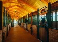 Equestrian Club