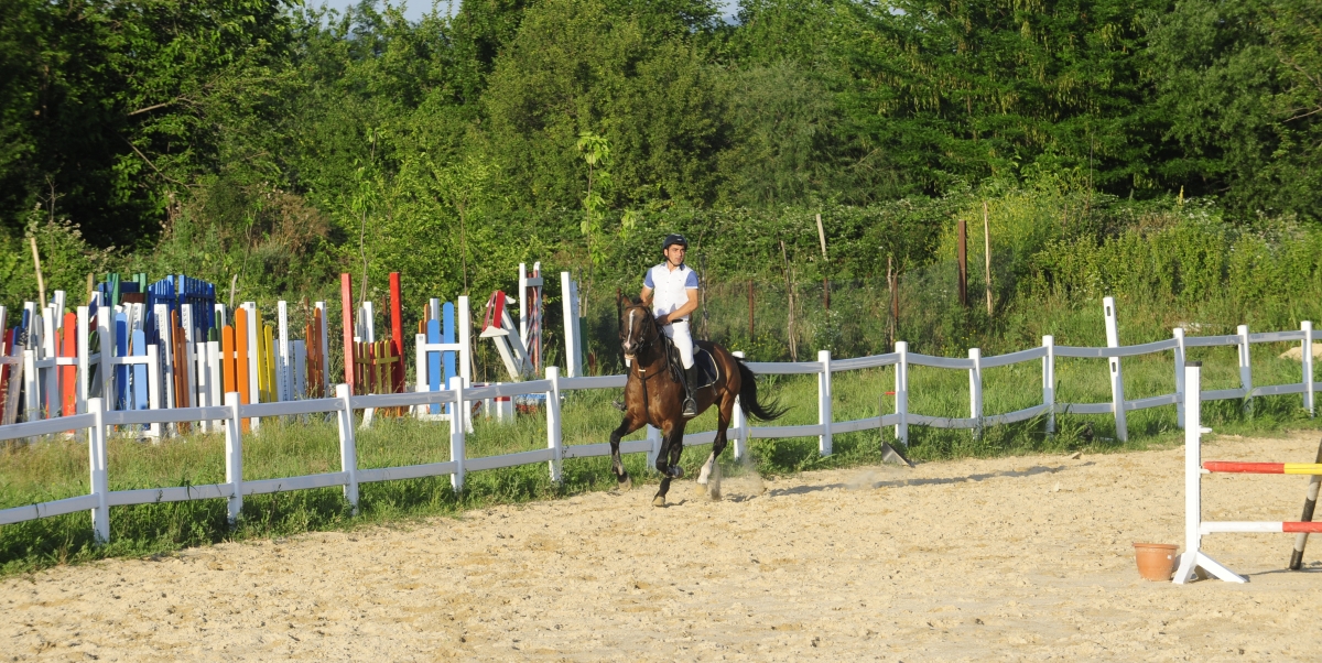 Riding on Horses